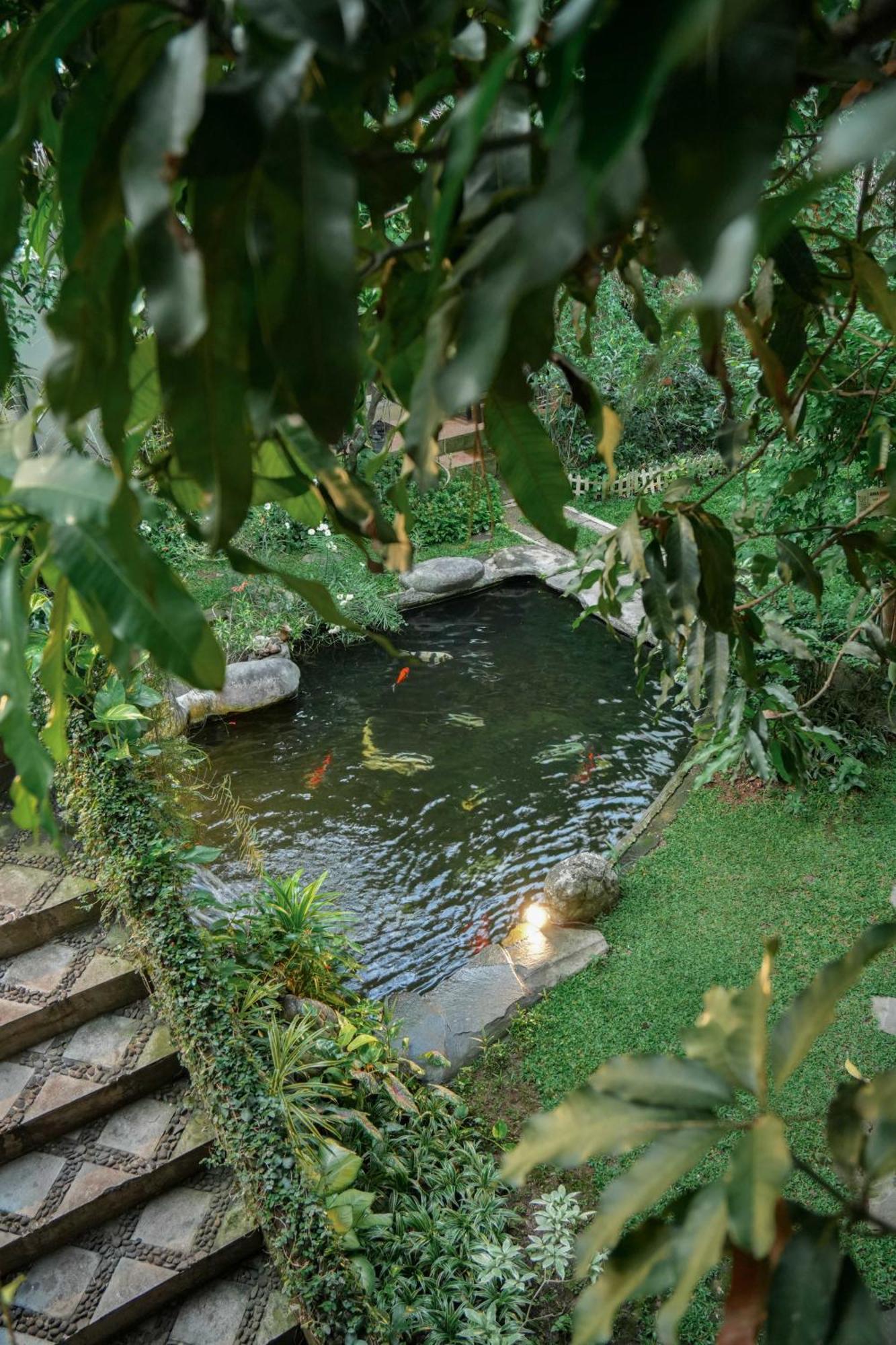 迪亚扬蒂住宿加早餐旅馆 三宝垄 外观 照片