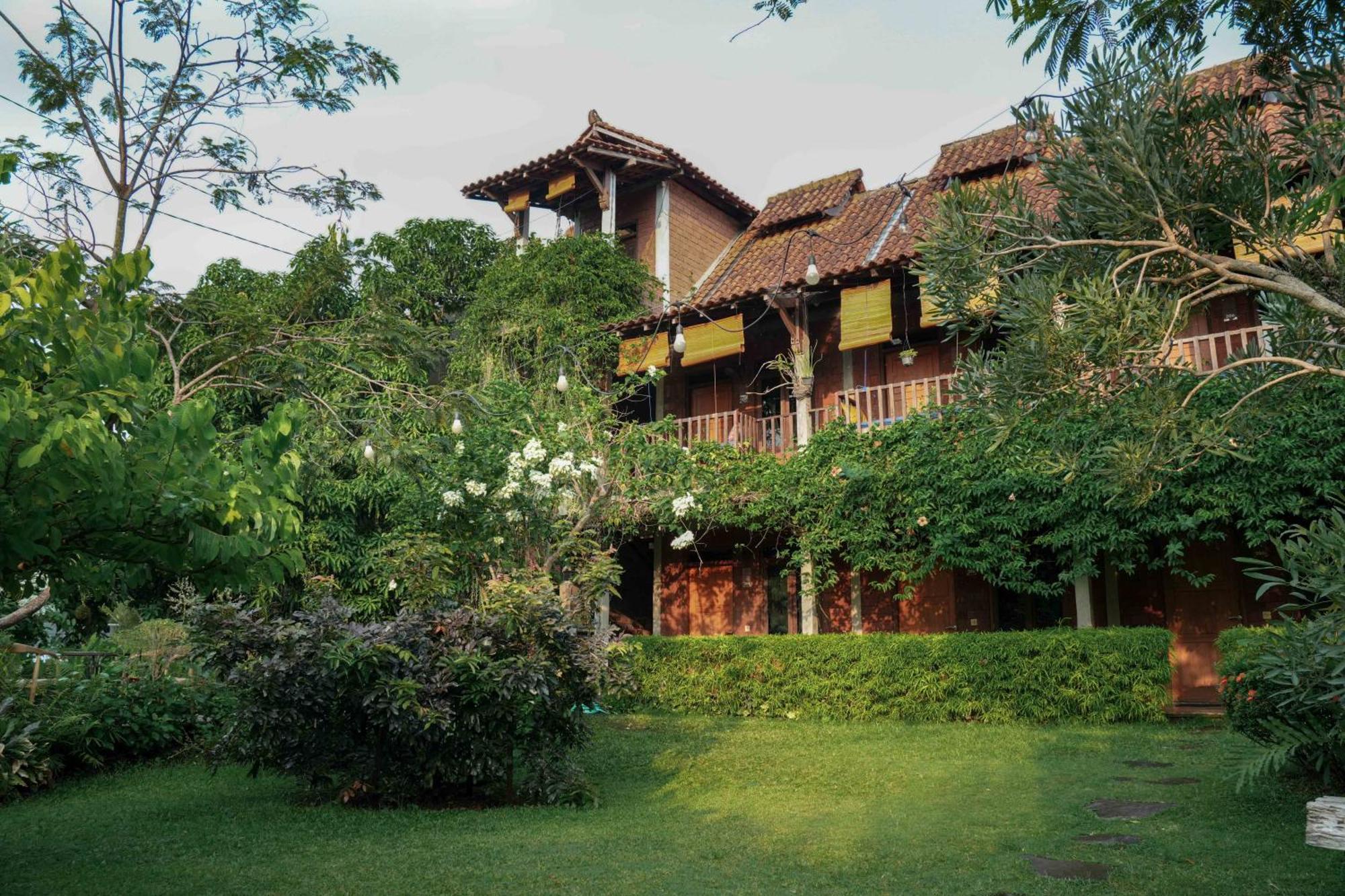 迪亚扬蒂住宿加早餐旅馆 三宝垄 外观 照片